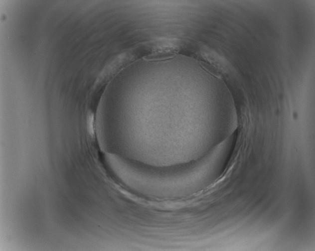 X0000078890041200611131241