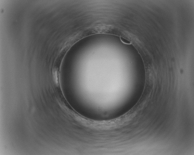 X0000078890042200611131241