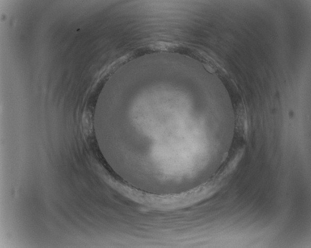 X0000078890043200611131241