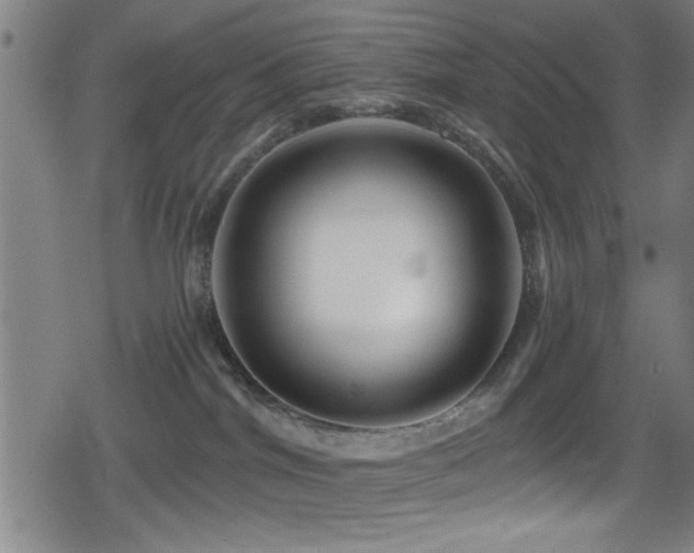 X0000078890044200611131241