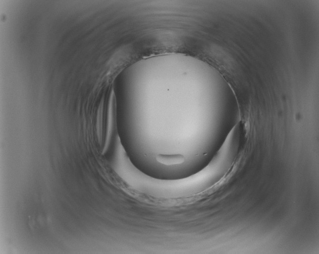 X0000078890045200611131241