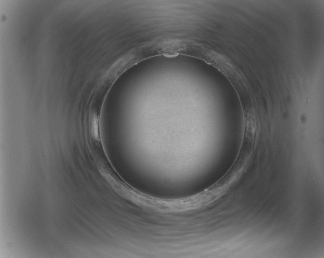 X0000078890046200611131241