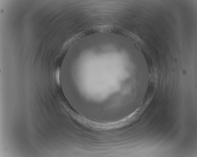 X0000078890047200611131241