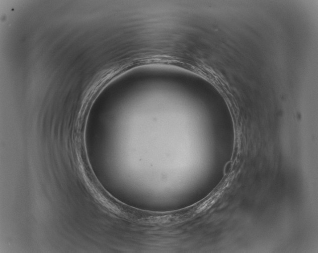 X0000078890049200611131240