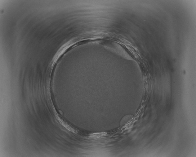 X0000078890051200611131240