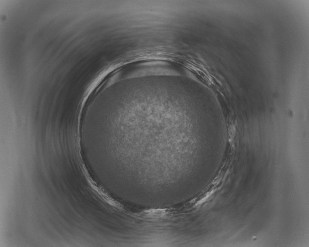 X0000078890052200611131240