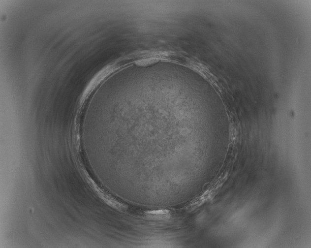 X0000078890053200611131240