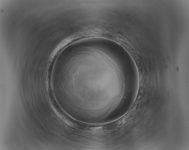 X0000078890054200611131240