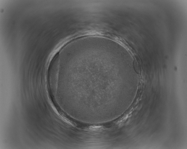 X0000078890055200611131240