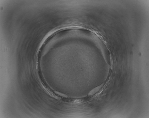 X0000078890056200611131240