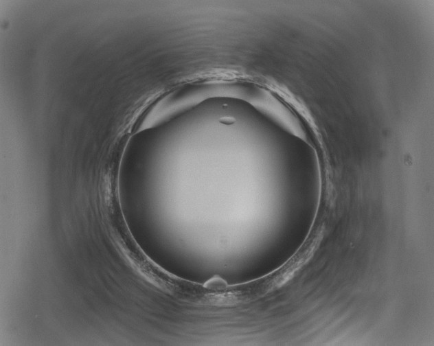 X0000078890057200611131240