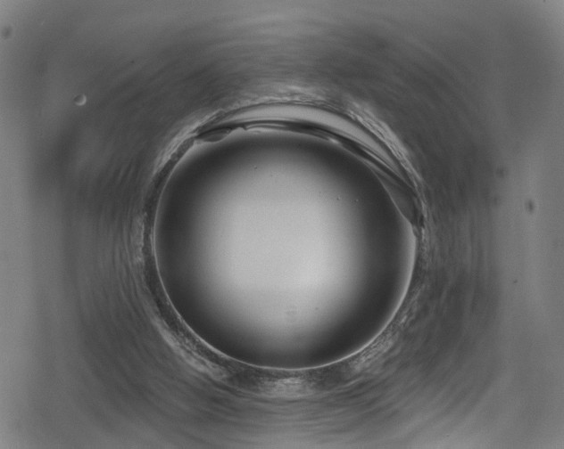 X0000078890058200611131240