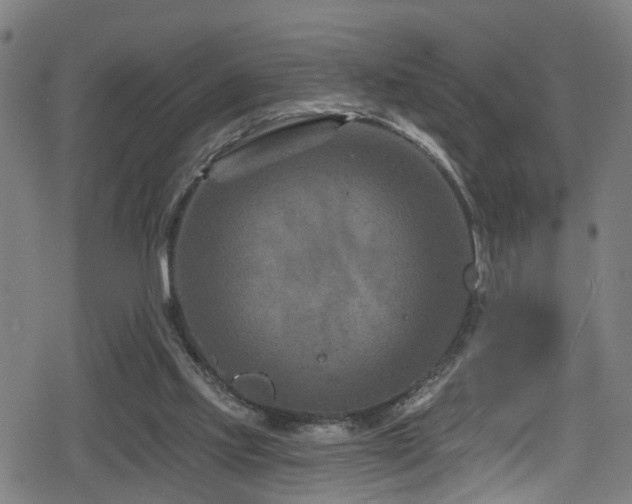 X0000078890061200611131240