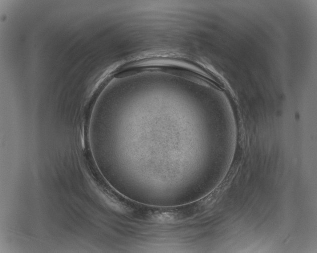 X0000078890062200611131240