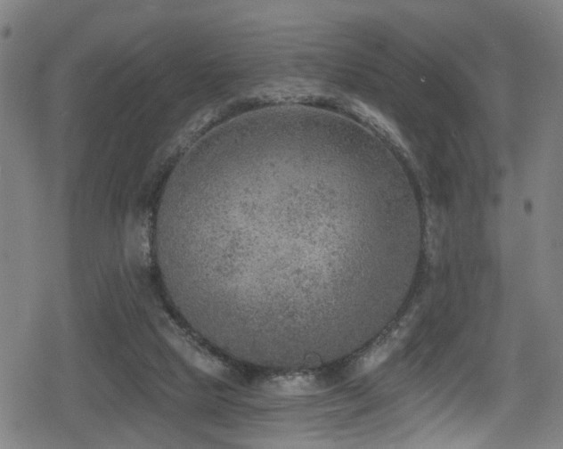 X0000078890065200611131240