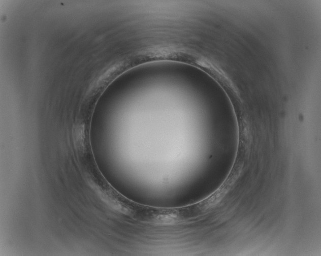 X0000078890066200611131240