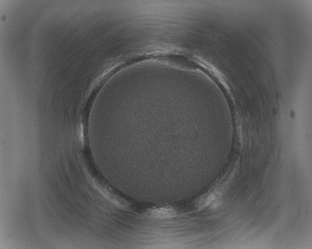 X0000078890067200611131240