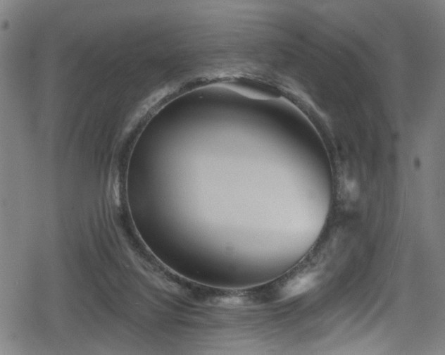 X0000078890068200611131240