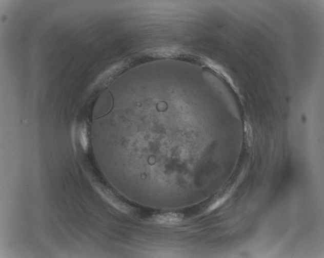 X0000078890069200611131240