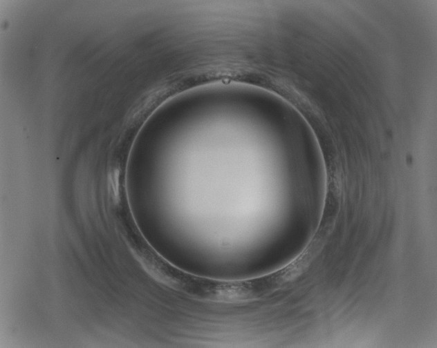 X0000078890070200611131240