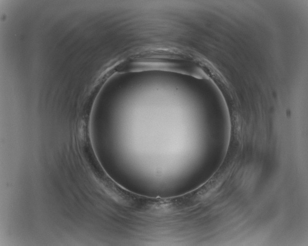 X0000078890071200611131240