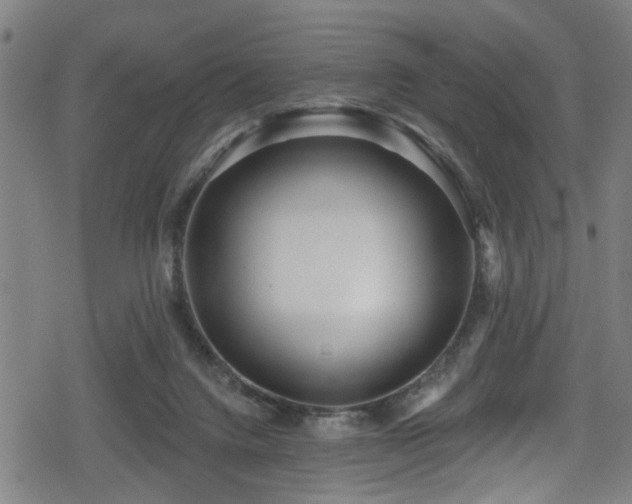 X0000078890072200611131240