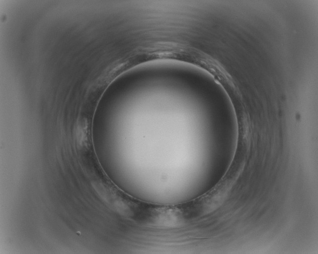 X0000078890073200611131240