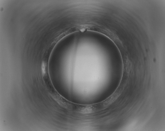 X0000078890075200611131240