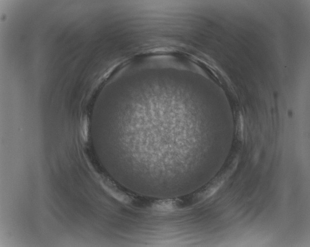 X0000078890076200611131240