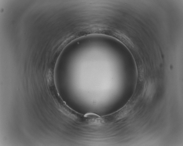 X0000078890077200611131240