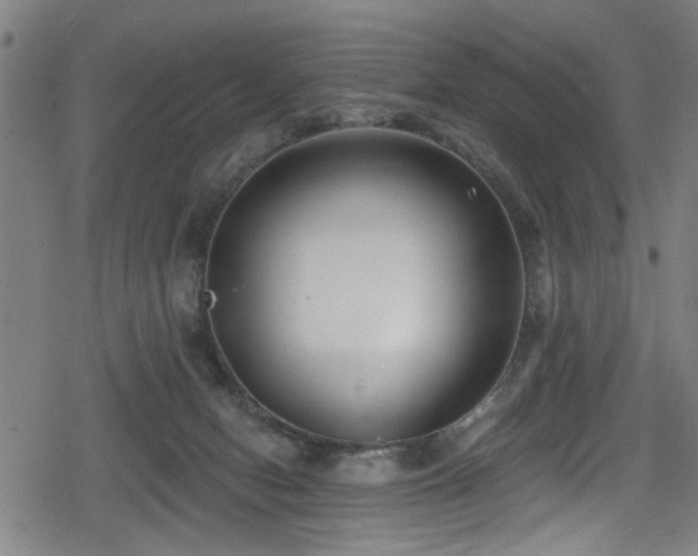 X0000078890078200611131240