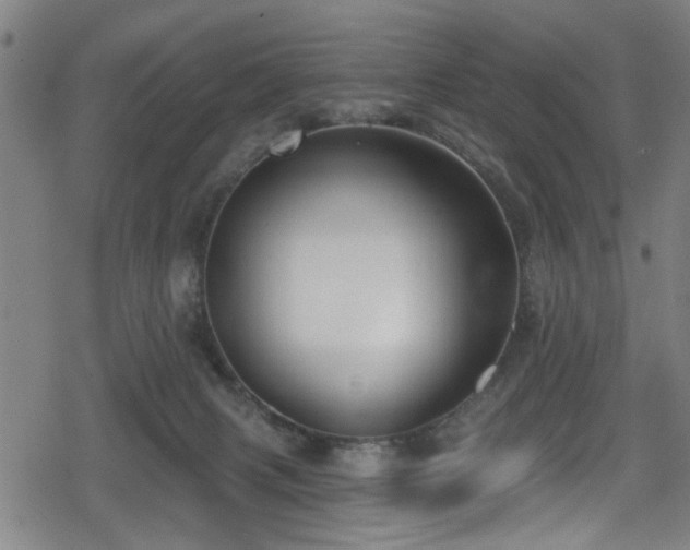 X0000078890079200611131240