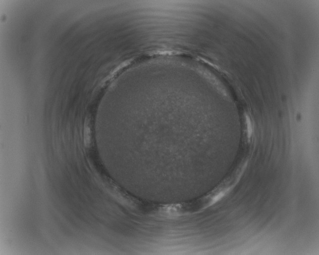 X0000078890080200611131240