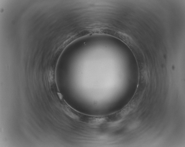 X0000078890081200611131240