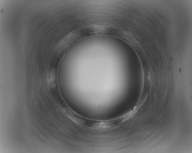 X0000078890082200611131240