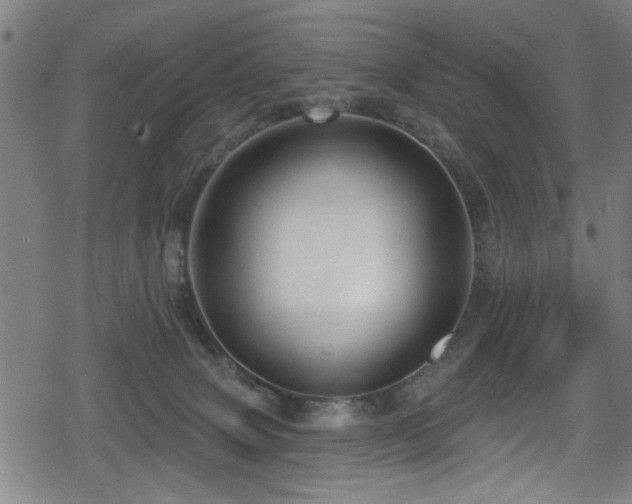 X0000078890083200611131240