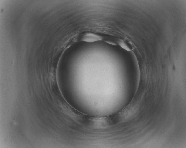 X0000078890085200611131240