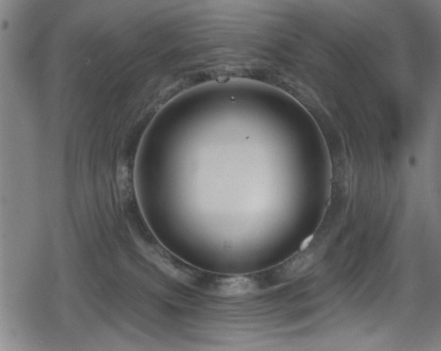 X0000078890087200611131241