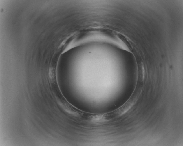 X0000078890088200611131241