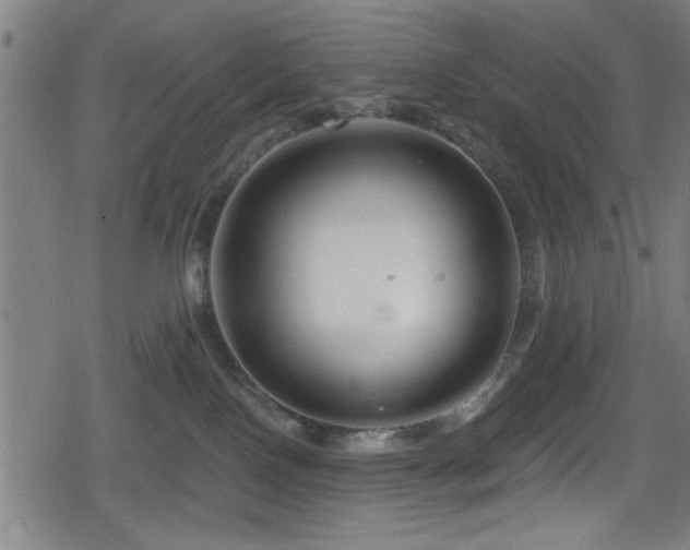 X0000078890090200611131241