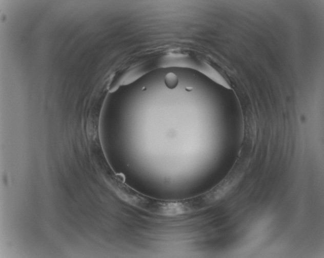 X0000078890091200611131241