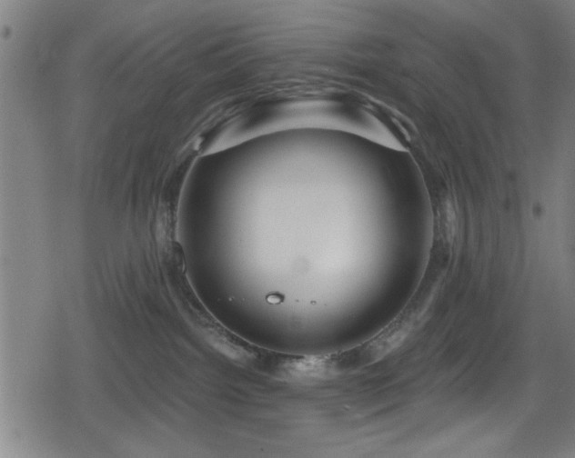 X0000078890092200611131241