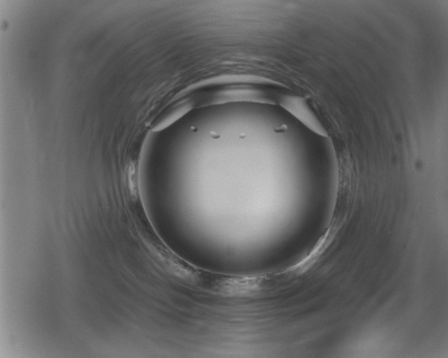 X0000078890094200611131241