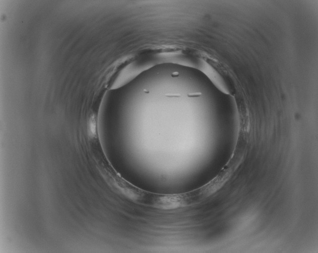 X0000078890095200611131241