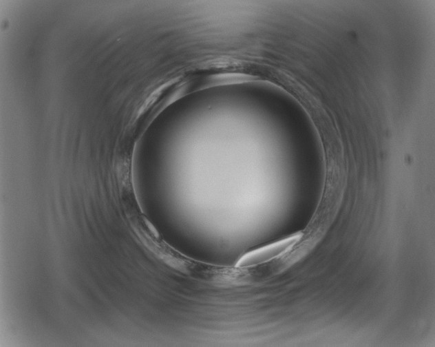 X0000078890096200611131241