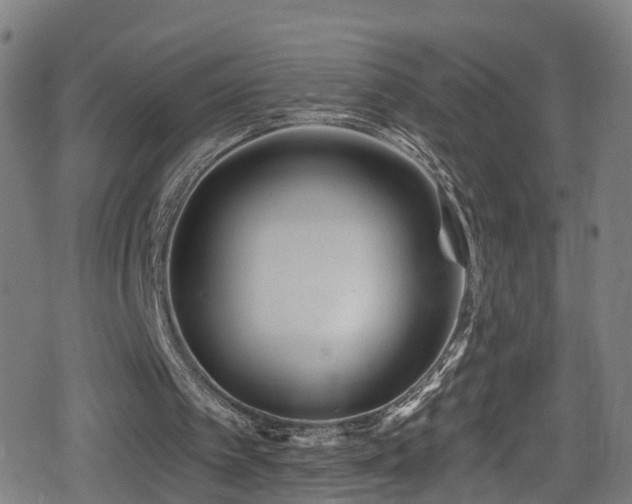 X0000078890097200611131240