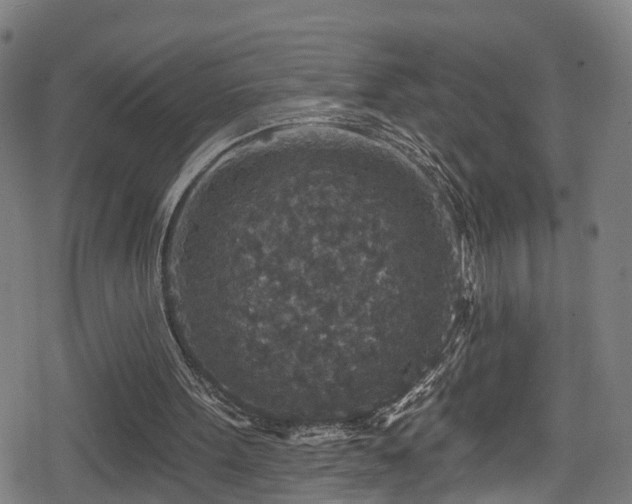 X0000078890099200611131240