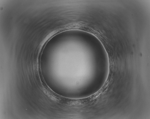 X0000078890100200611131240