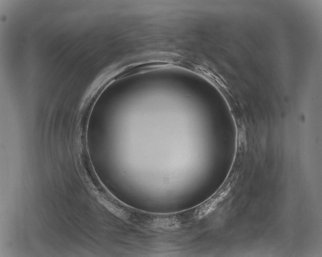 X0000078890101200611131240