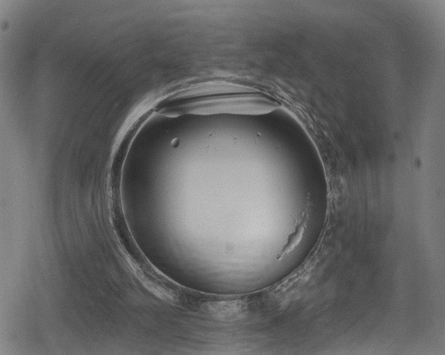 X0000078890102200611131240